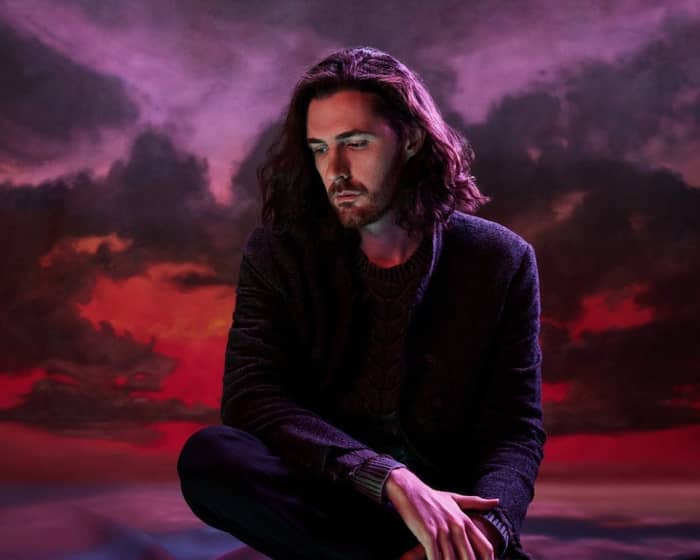 Hozier - Unreal Unearth Tour 2024 tickets