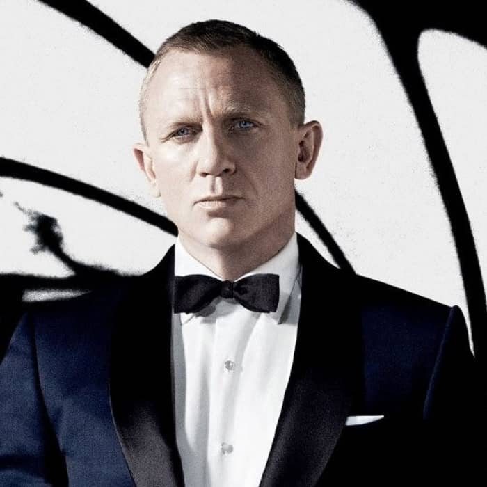 Skyfall in Concert