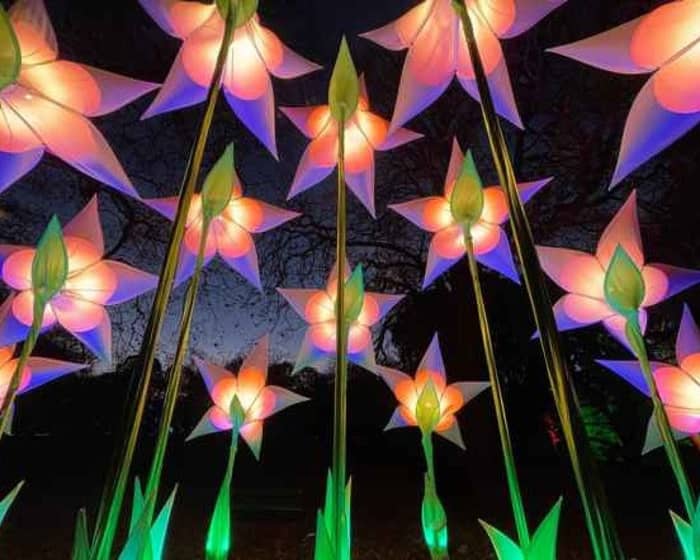 Lightscape Melbourne Flexi tickets