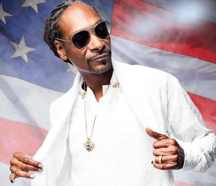 DJ Snoopadelic cover image