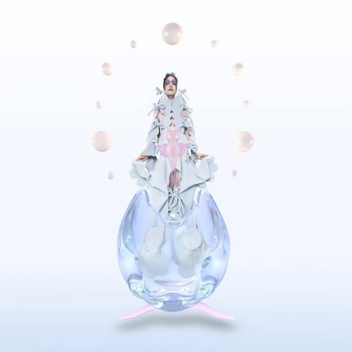 Dasychira cover image