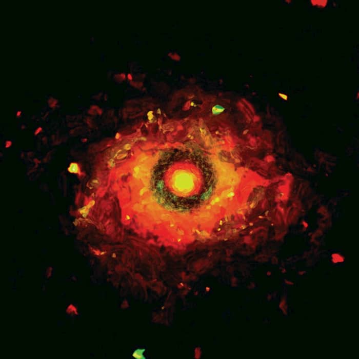 Stray cover image