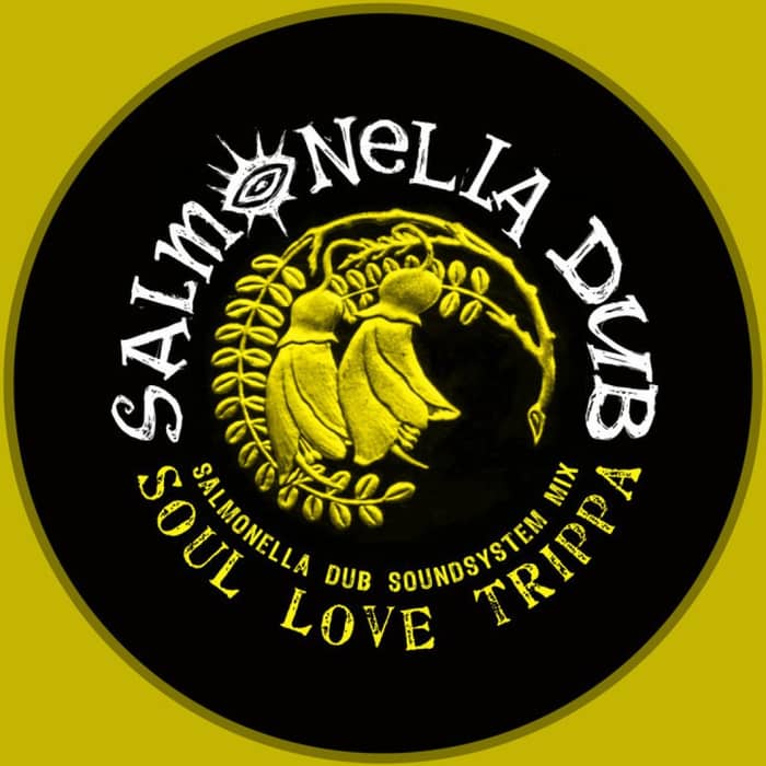 Salmonella Dub cover image