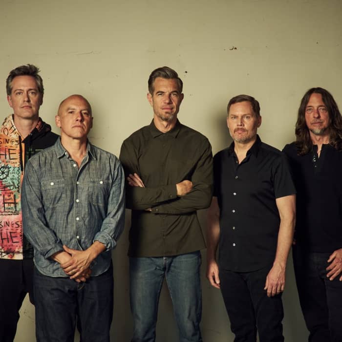 311 cover image