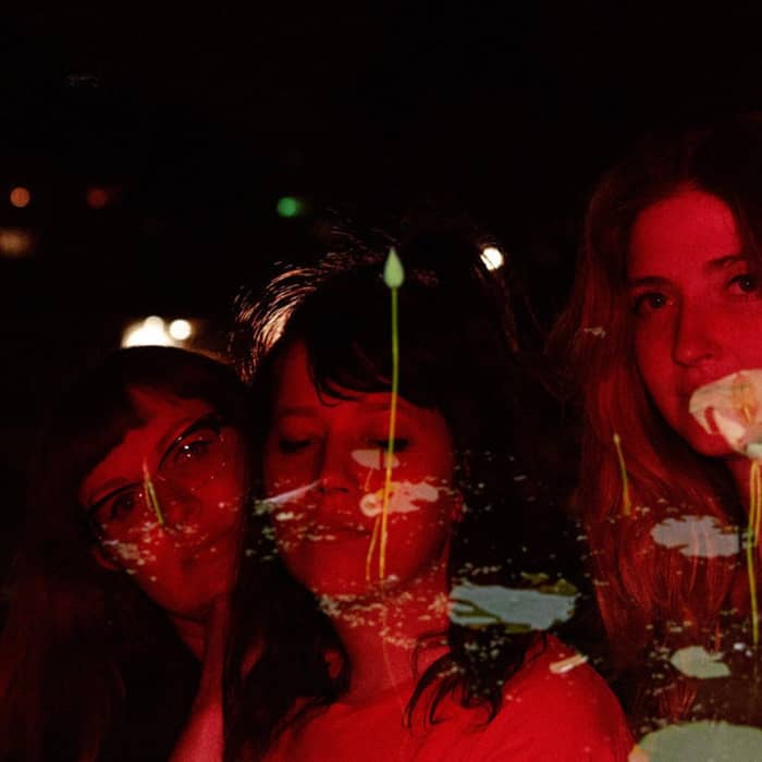 Vivian Girls cover image