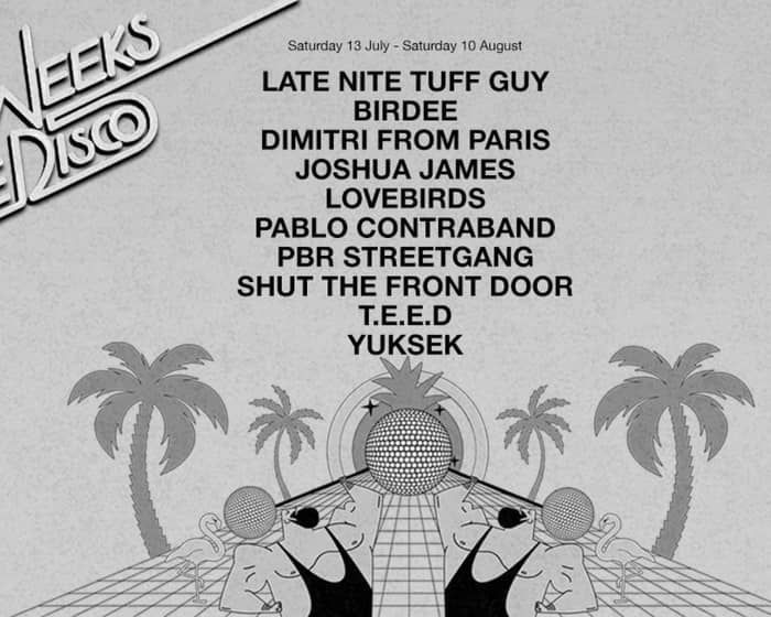 Five Weeks At The Disco (Day & Night Series): Late Nite Tuff Guy + Lovebirds tickets