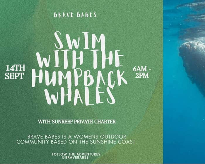 Swim with Whales (Private Charter) - Brave Babes tickets