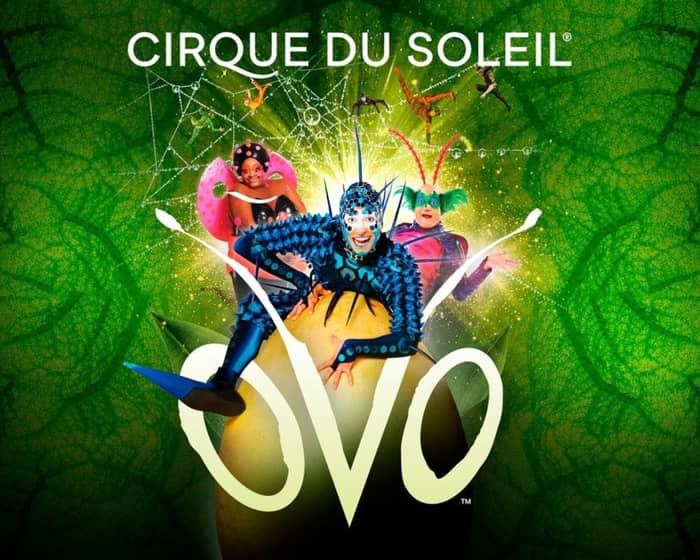 Cirque du Soleil: OVO tickets