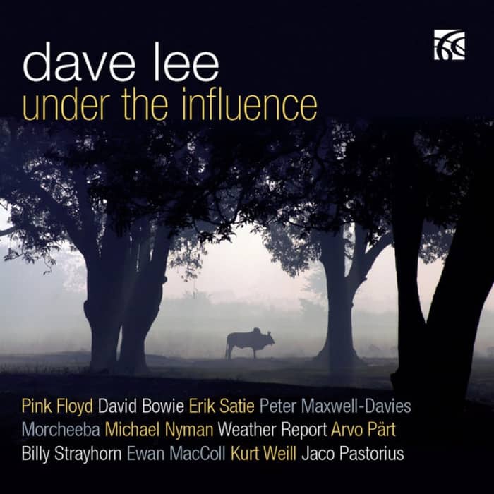 Dave Lee cover image