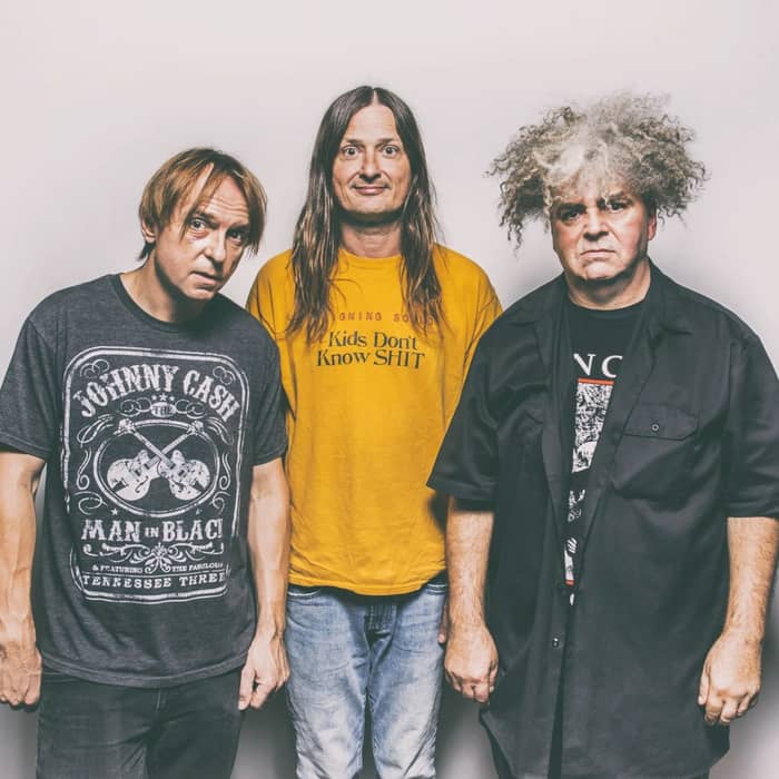 The Melvins cover image