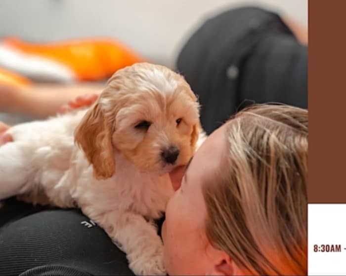 Puppy Yoga Brisbane tickets