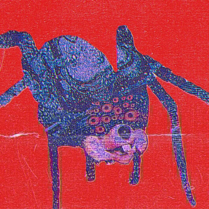 Grim Salvo cover image