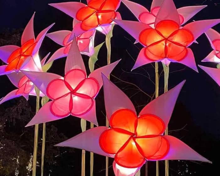 Lightscape Melbourne - Flexi tickets