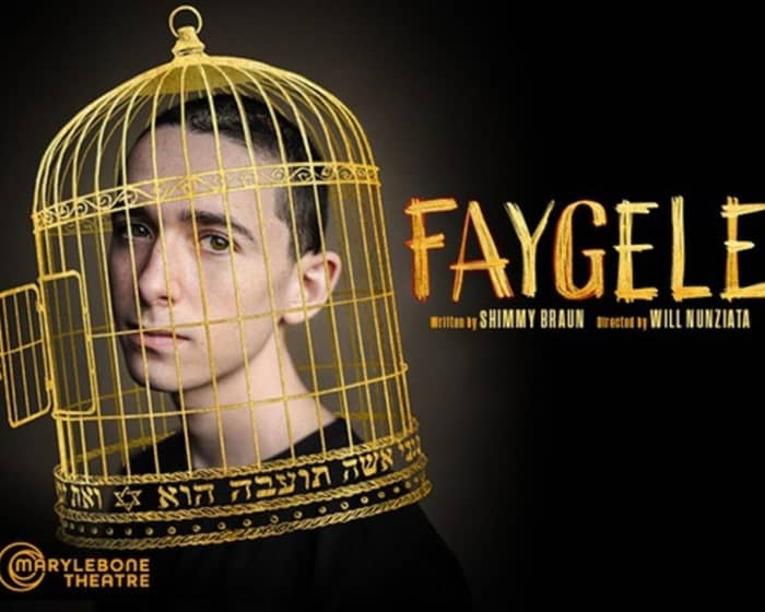 Faygele tickets
