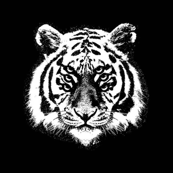 Royal Blood cover image