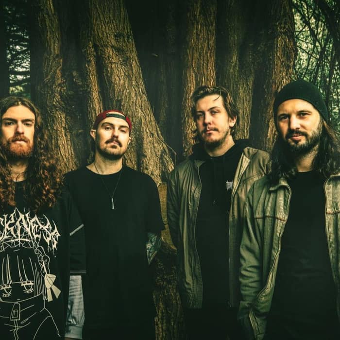 Treebeard cover image
