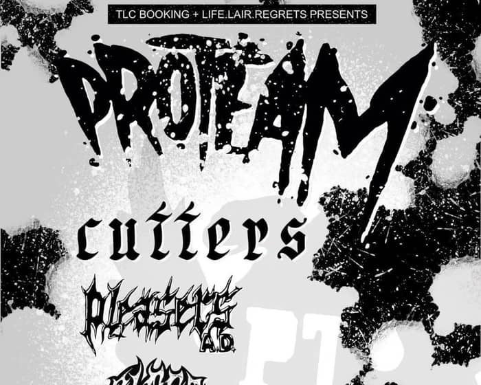 Proteam tickets
