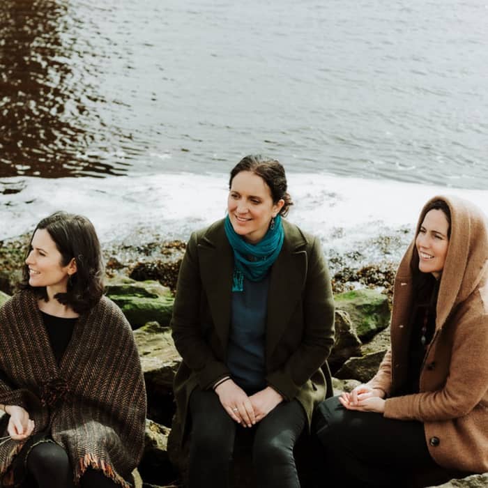 The Henry Girls cover image