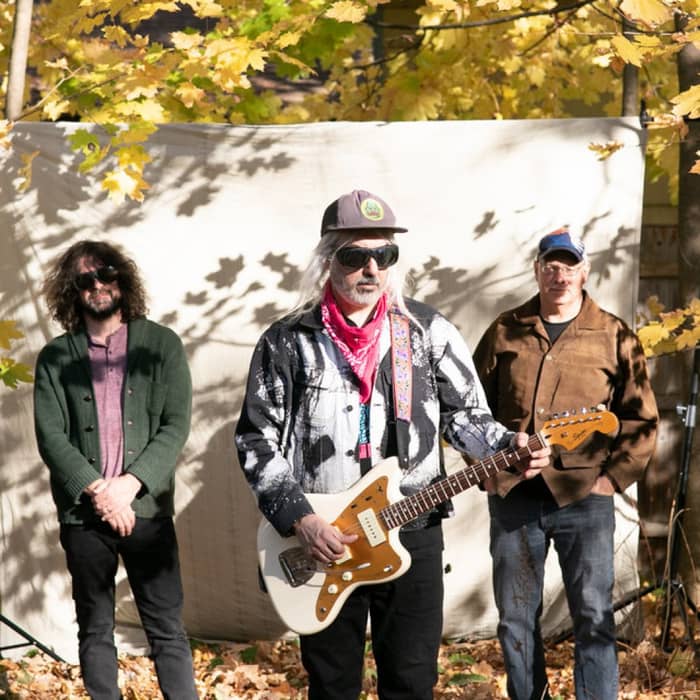 Dinosaur Jr. cover image