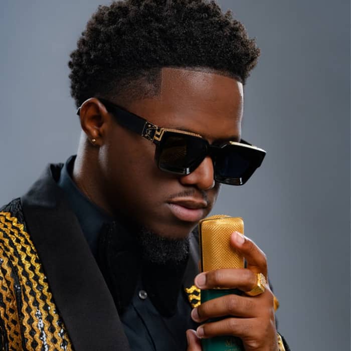 Voice cover image
