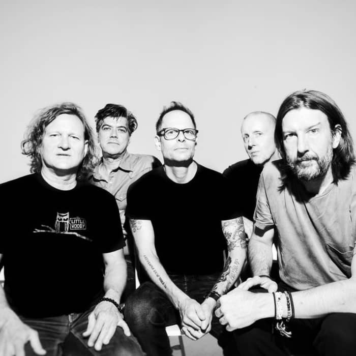 Gin Blossoms cover image