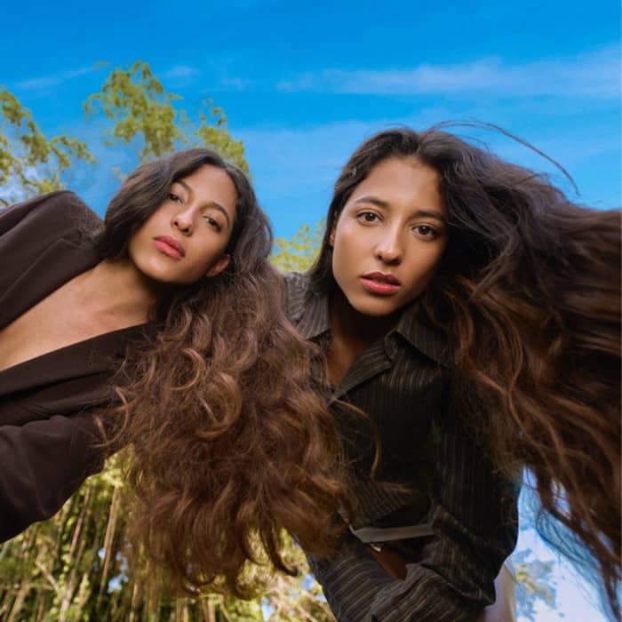 Vale cover image
