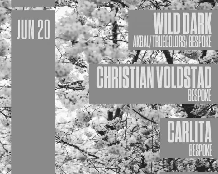 Bespoke Musik presents: Wild Dark/ Christian Voldstad/ Carlita/ Carson tickets