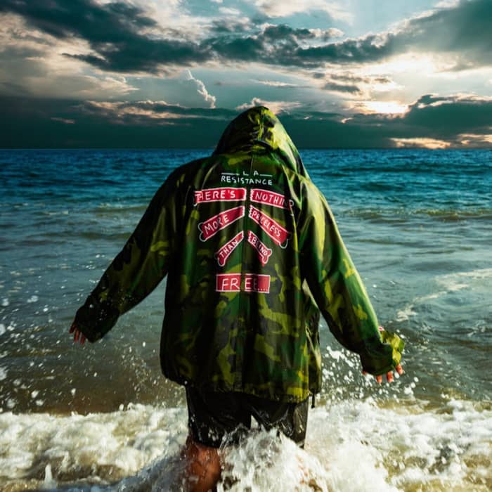 Belly cover image
