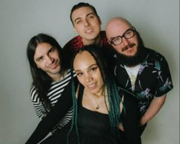 The Skints tickets