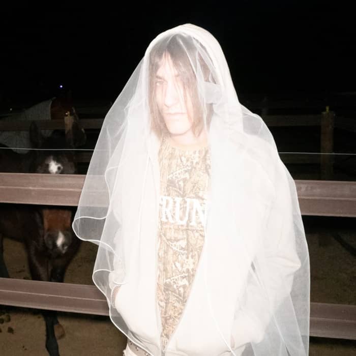 aldn cover image