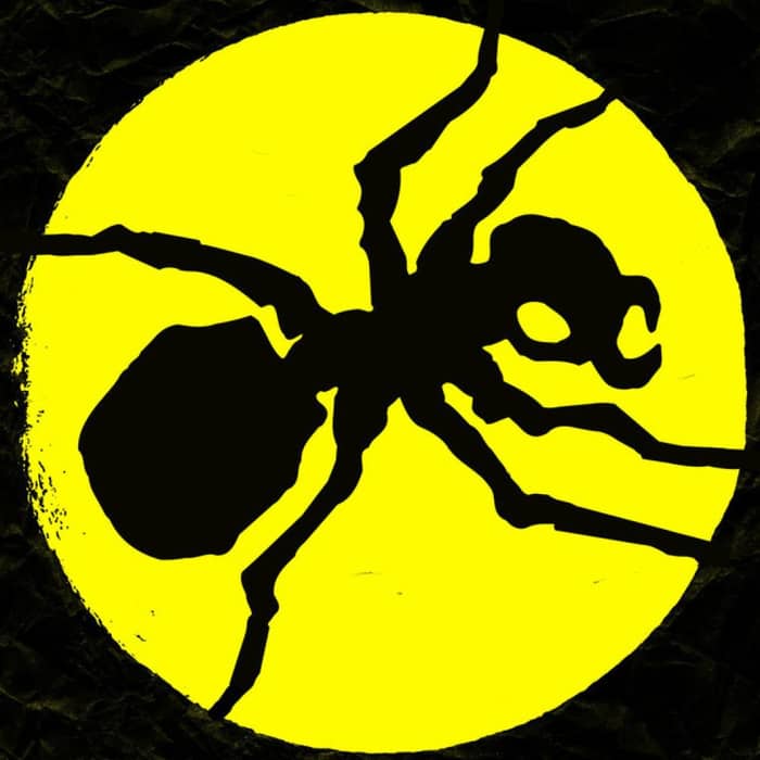 The Prodigy cover image