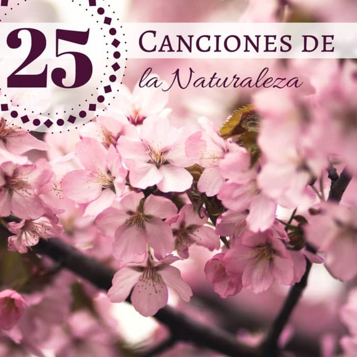 Flor De Loto cover image
