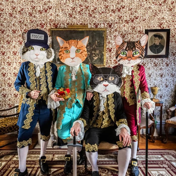 Fantastic Cat cover image