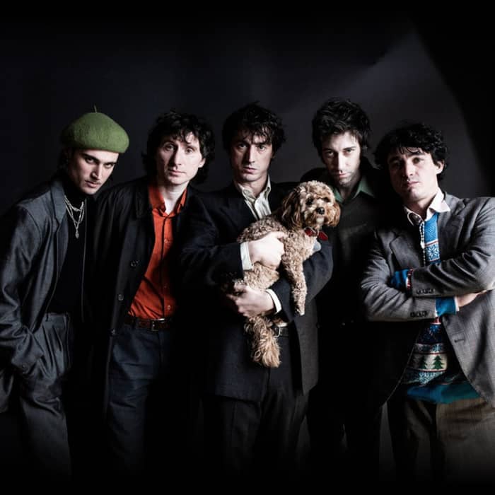 Fat White Family cover image