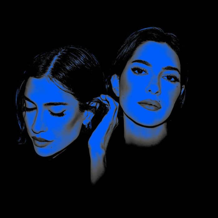 The Veronicas cover image