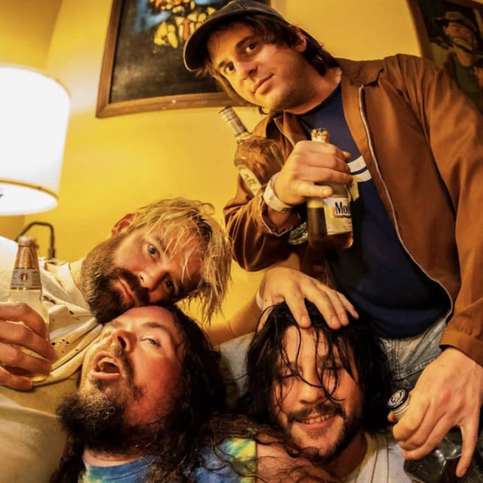 Wavves cover image