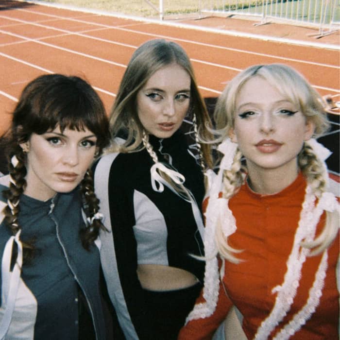 Blusher cover image