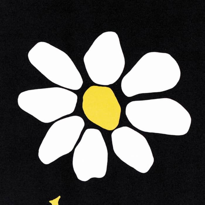 James cover image