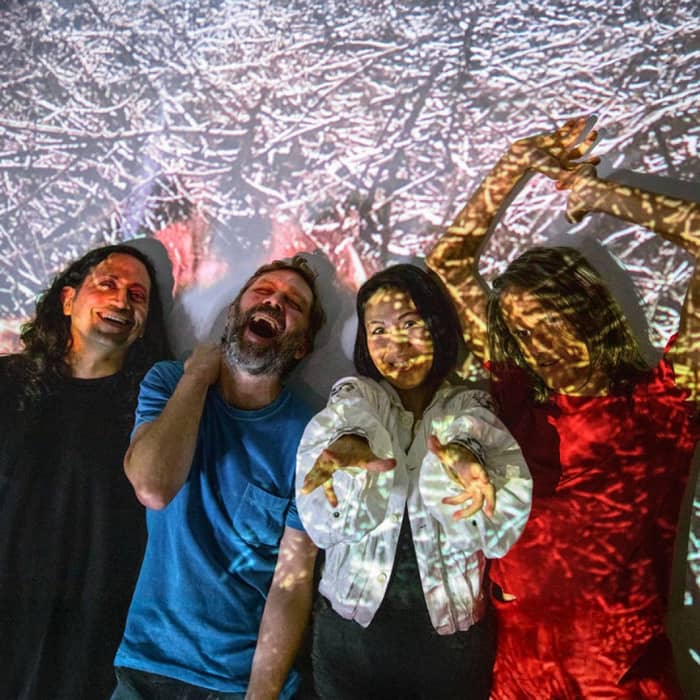 Deerhoof cover image