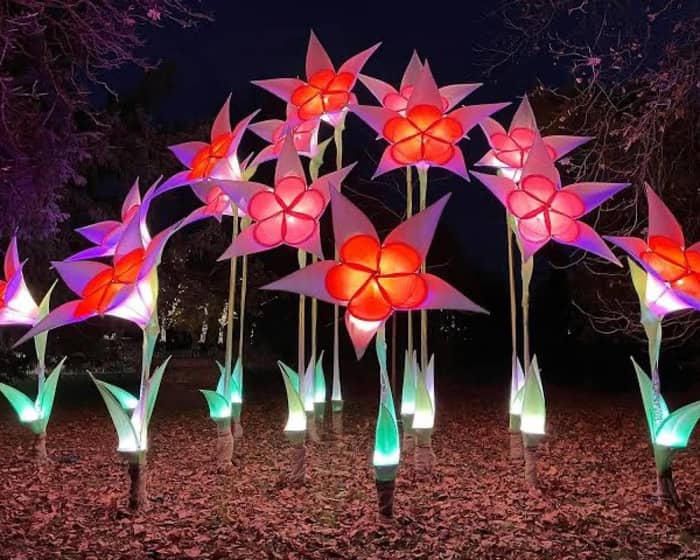 Royal Botanic Gardens events