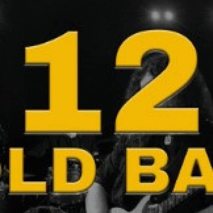 12 Gold Bars