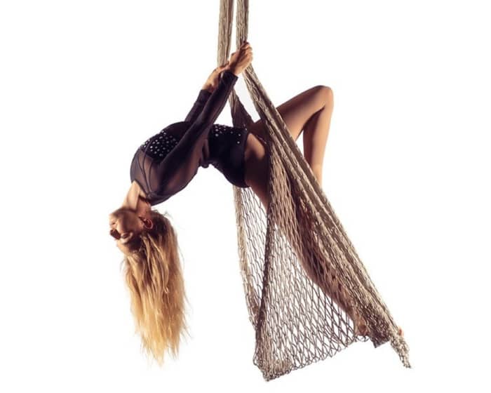 Le Aerial tickets