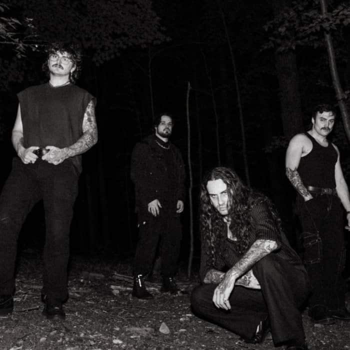 Spite cover image