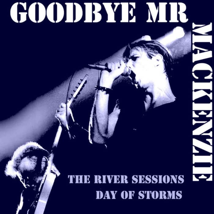 Goodbye Mr Mackenzie cover image