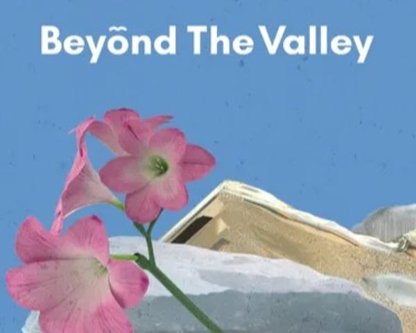 Beyond the Valley 2022 tickets