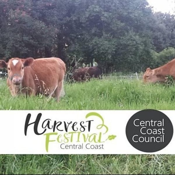 Central Coast Harvest Festival 2022 tickets in Australia Tixel