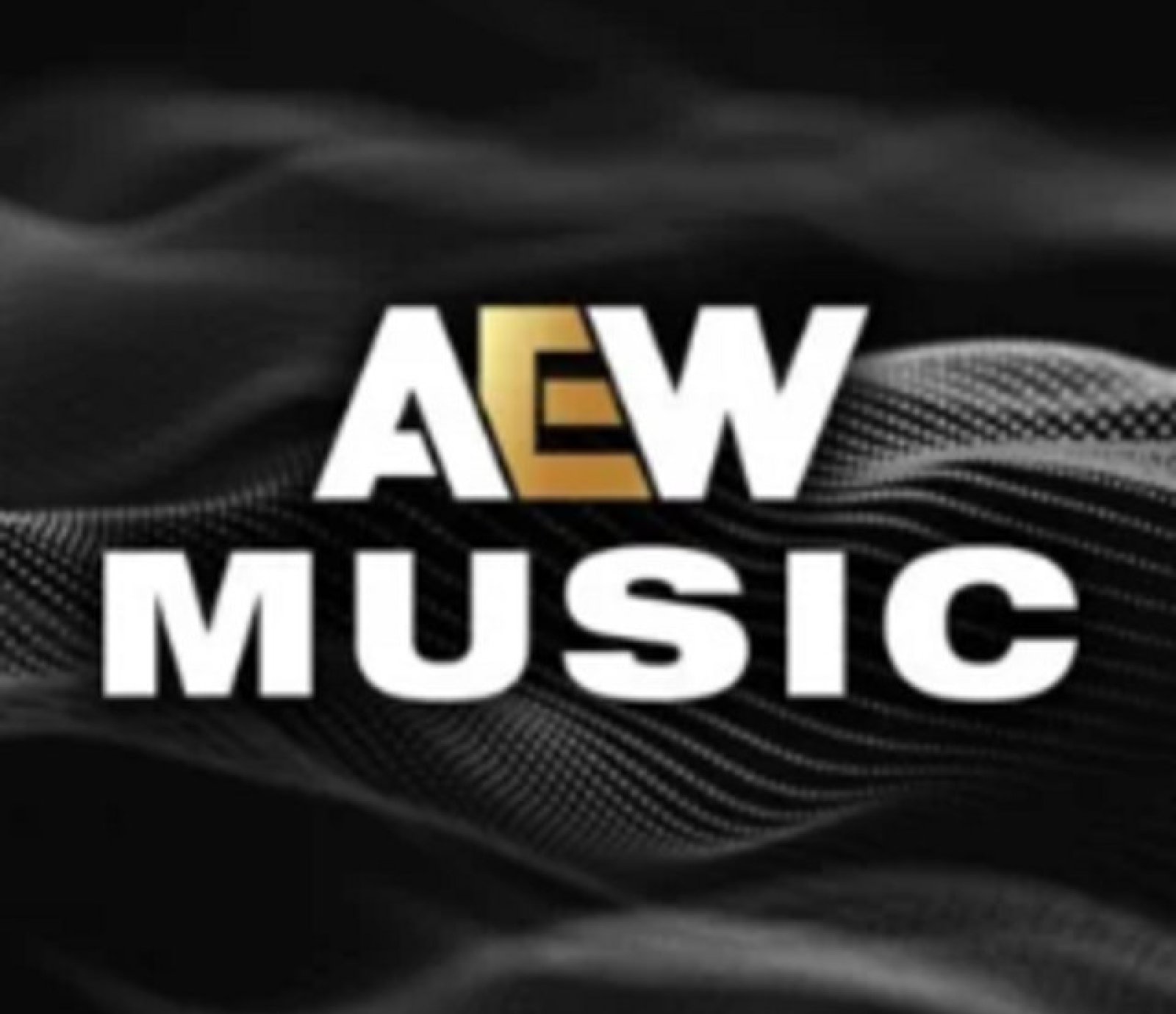 Steven Borden Suffers Serious Injury at AEW All Out 2026