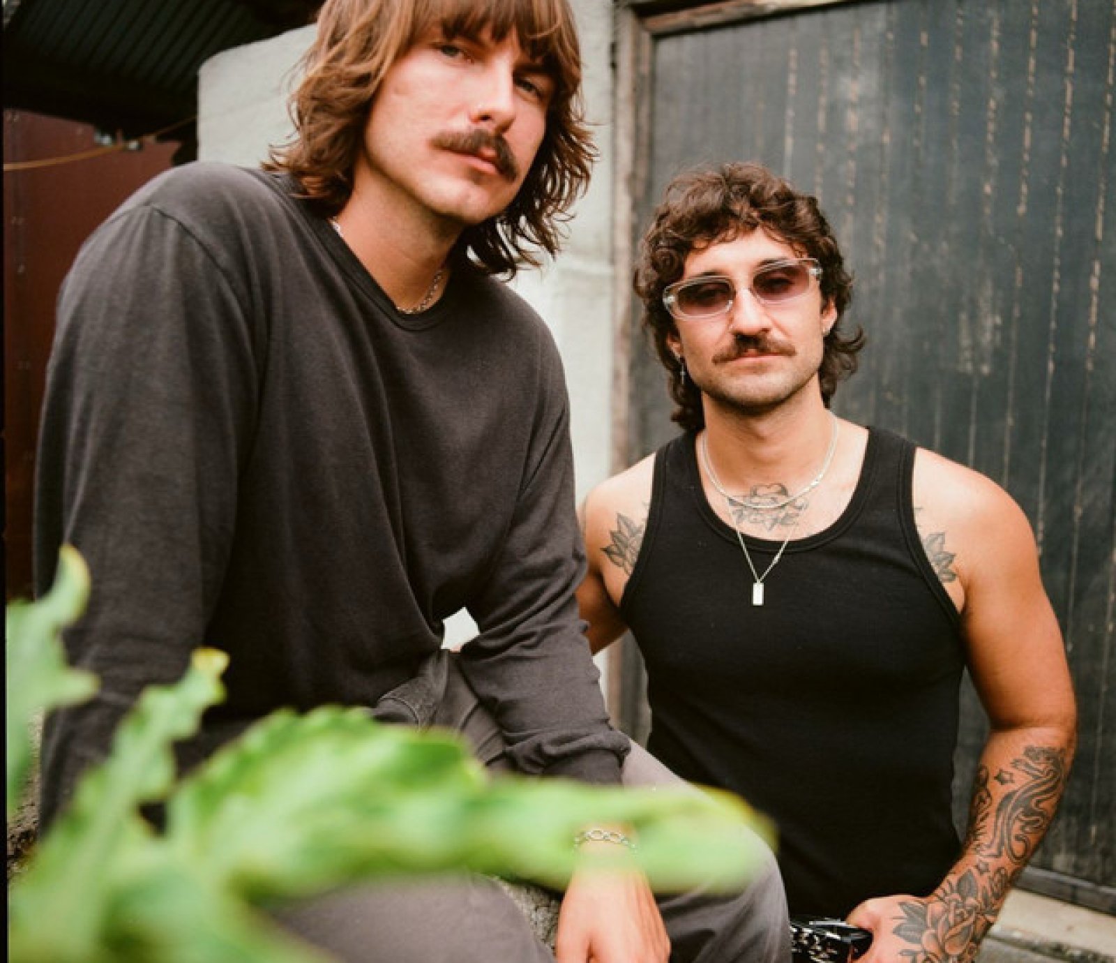 The Dreggs